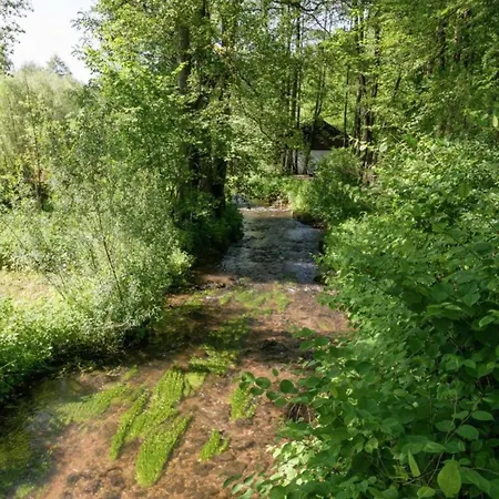 Holiday home Modern In Baugnez Malmedy With Sauna Arimont
